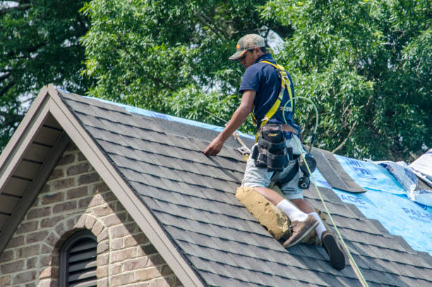 Best Residential Roof Replacement  in Lakes East, CT